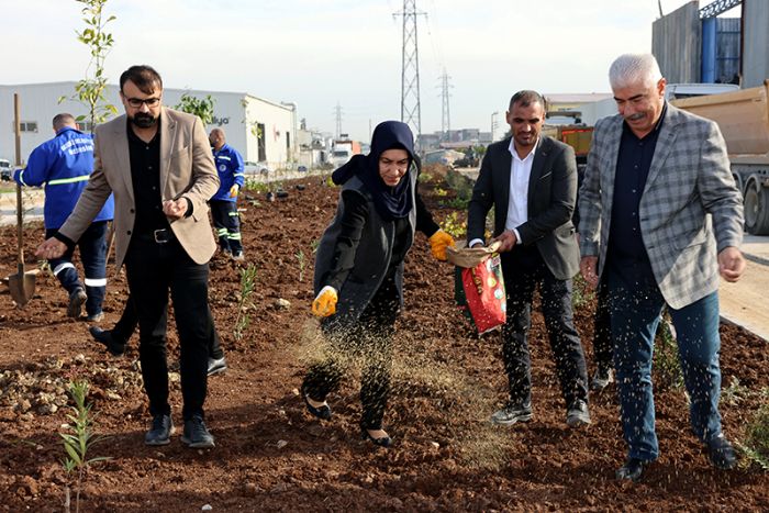 Akdeniz Yeni Bir Yeil Alan Kazanyor