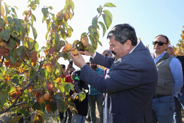 Toroslar Belediye Bakan Yldz, cennet meyvesi hasadna katld