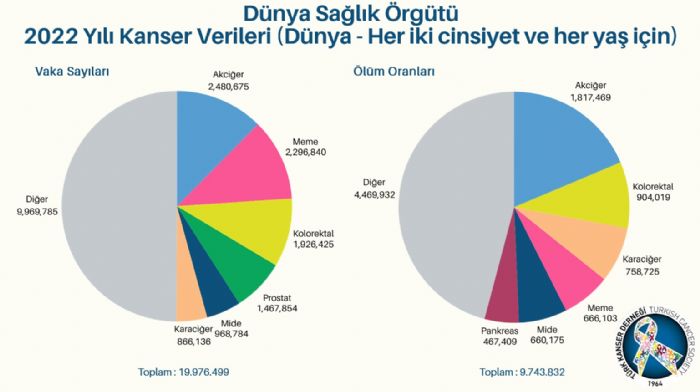 Trkiyede her 5lmden biri kanserden