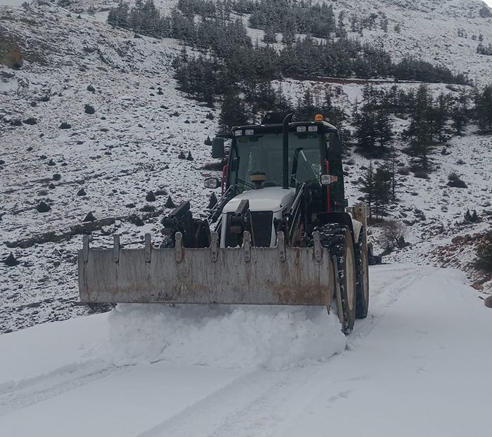Toroslar Belediyesi Ekipleri, Yolda Mahsur Kalan Aralar Kurtard